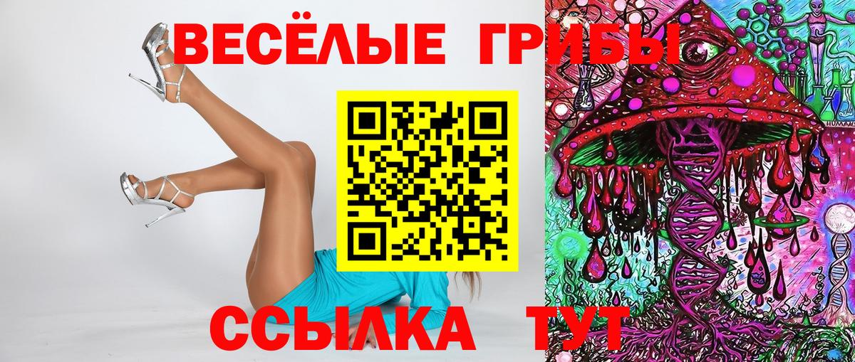 Куйбышев  закладки  Псилоцибиновые грибы Magic Shrooms  Вход с VPN  Псилоцибиновые грибы Magic Shrooms 